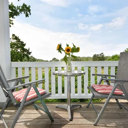 Seestern 05 * Heringsdorf (Usedom)